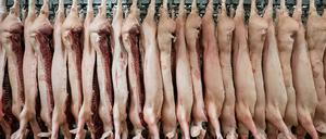 Halbierte Schweine hängen in einem Schlachthof an Haken.