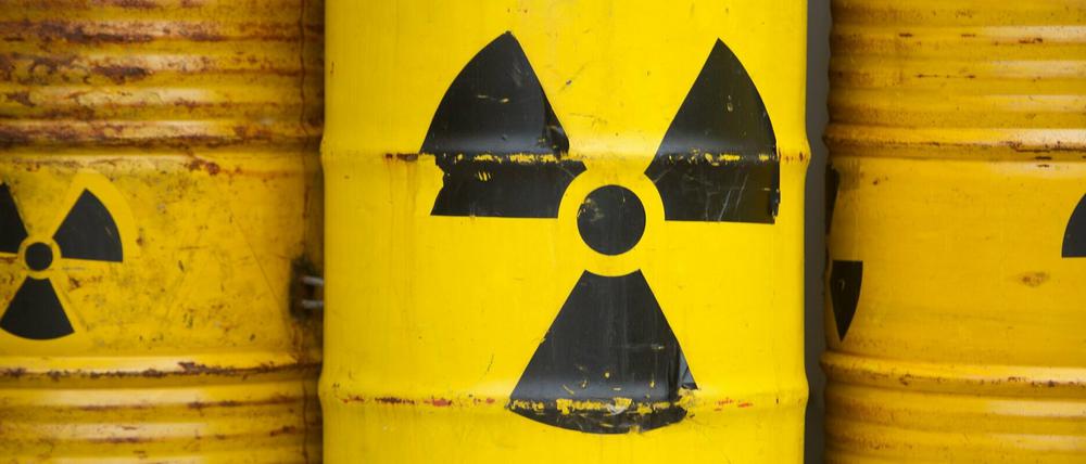 Nach Ansicht von Experten ist die Geologie in Deutschland günstig für Atom-Endlager.