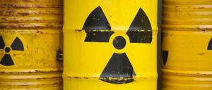 Nach Ansicht von Experten ist die Geologie in Deutschland günstig für Atom-Endlager.