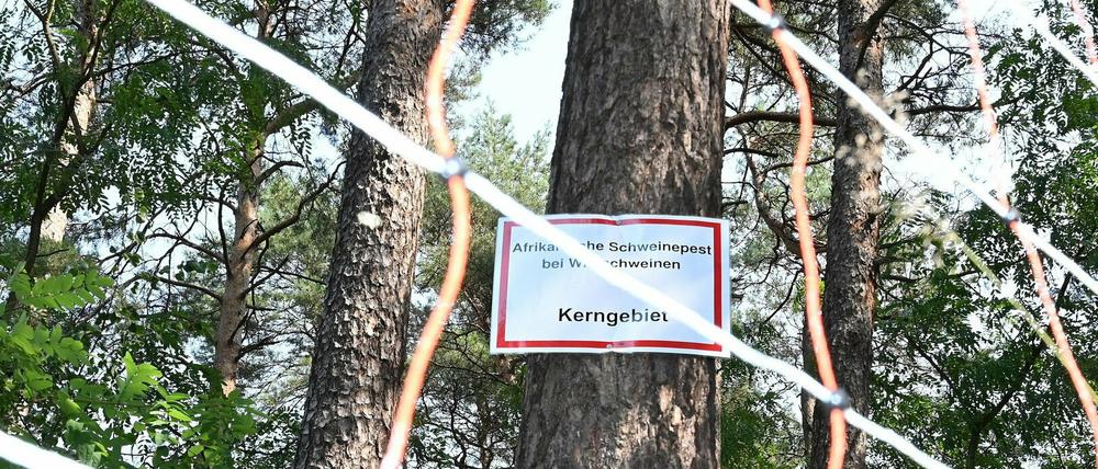 Hinter einem mobilen Elektrozaun weist ein Schild auf die Schweinepest hin.