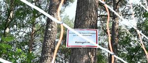 Hinter einem mobilen Elektrozaun weist ein Schild auf die Schweinepest hin.