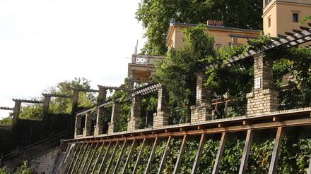 Als Erweiterung der Schlossanlage Sanssouci entstand der Winzerberg ab 1763 unterhalb des Mühlenberges. Am Wochenende von 10 Uhr bis 18 Uhr geöffnet.