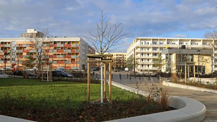 Die Gartenstadt in Drewitz heute und wie sie einst geplant wurde (siehe Bildergalerie unten). 