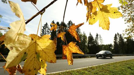 Der Herbst von der schönen Seite. 