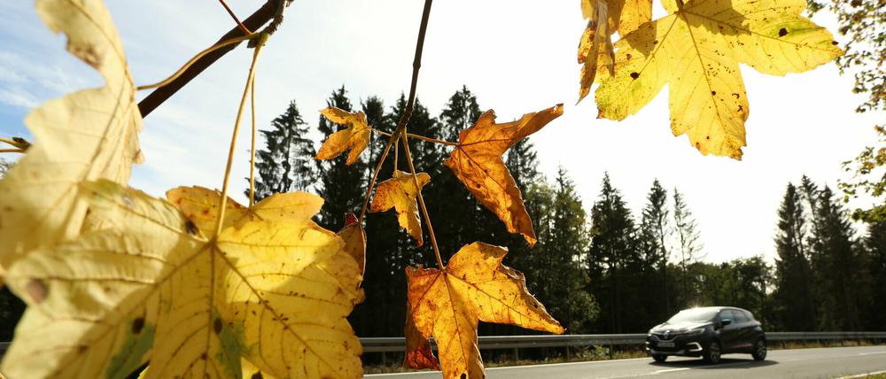 Der Herbst von der schönen Seite. 