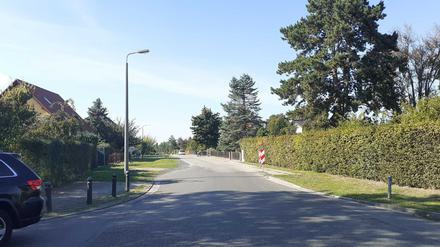 Der Hügelweg in Bornim