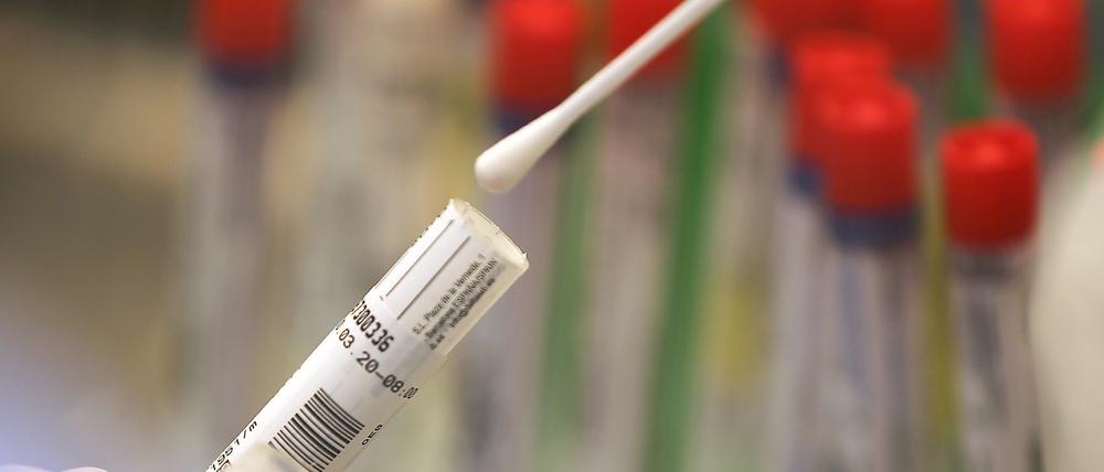 In Brandenburg kamen im Zusammenhang mit dem Coronavirus bisher 174 Menschen ums Leben.