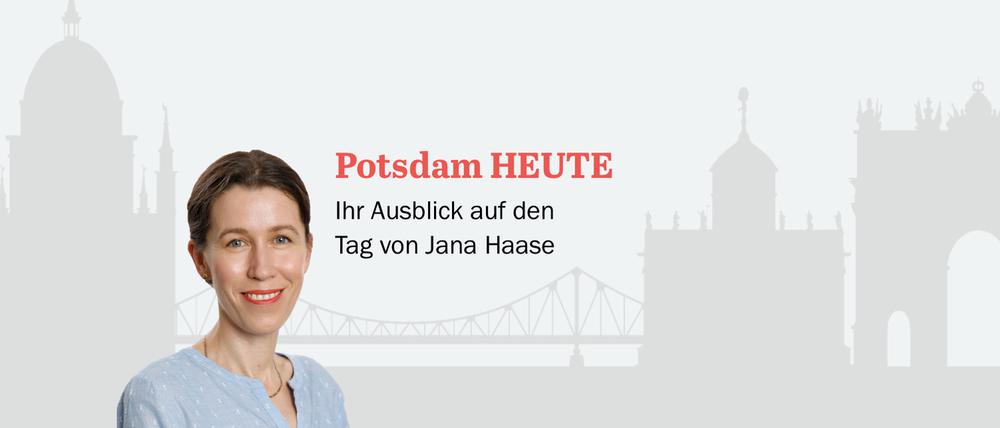 Der PNN-Newsletter - heute von Jana Haase.