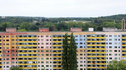Der Mieterbund Brandenburg fordert eine Verlängerung der Mietpreisbremse.