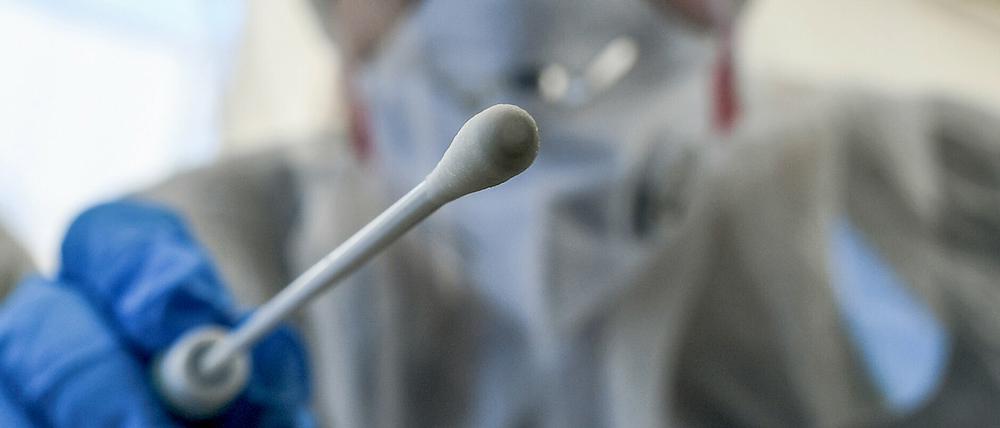 In den vergangenen 24 Stunden kamen acht Neuinfektionen mit dem Coronavirus in Potsdam hinzu. Die Zahl der Menschen, die sich seit Beginn der Pandemie mit dem Virus infiziert haben, liegt nun bei 779.