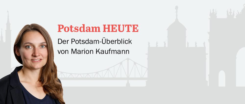 Der PNN-Newsletter - heute von Marion Kaufmann.