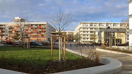 Auch die Stadtverwaltung stellte im Drewitzer Park Schäden fest.