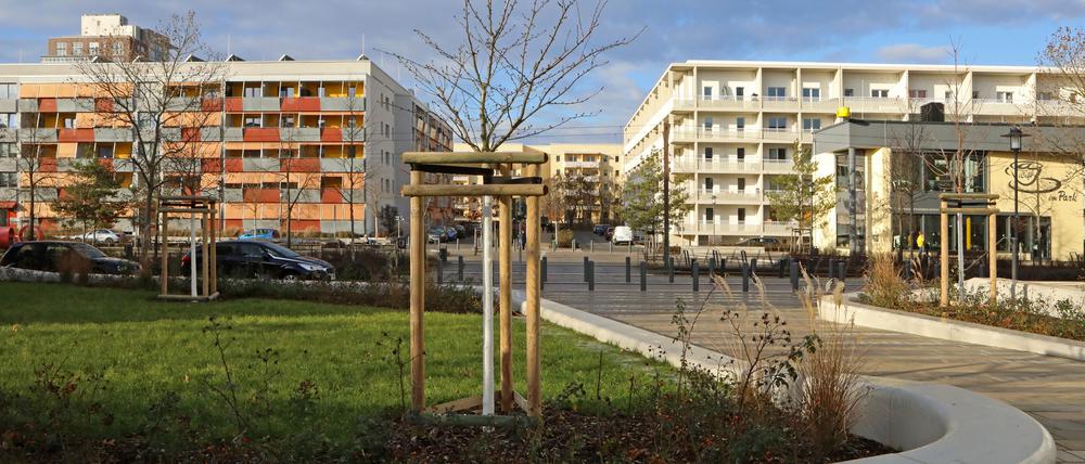 Auch die Stadtverwaltung stellte im Drewitzer Park Schäden fest.