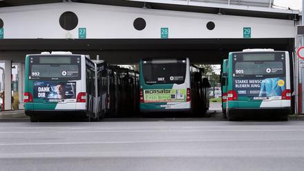 Am Freitag wurde der öffentliche Nahverkehr in Potsdam erneut bestreikt.