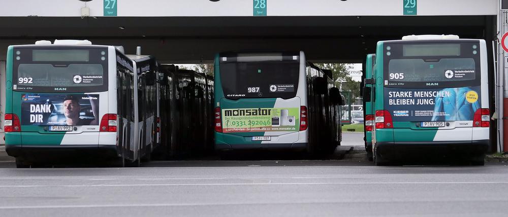 Am Freitag wurde der öffentliche Nahverkehr in Potsdam erneut bestreikt.