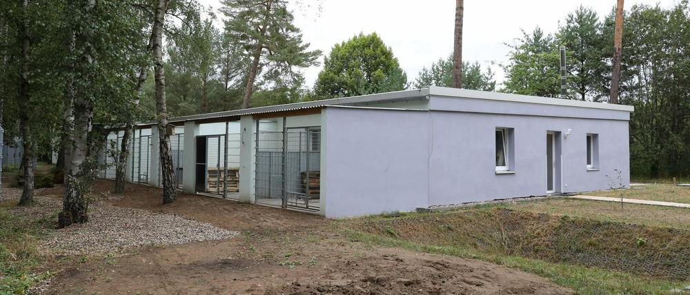 Das Tierheim an der Michendorfer Chaussee.