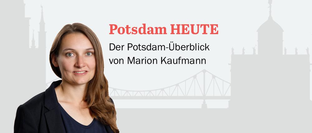 Der PNN-Newsletter - heute von Marion Kaufmann.