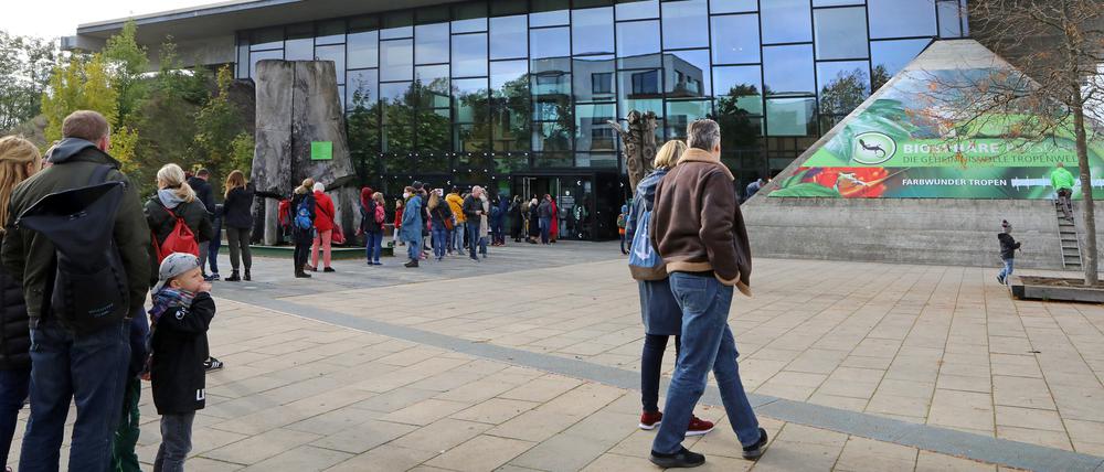 Lange Wartezeiten am Einlass in die Biosphärenhalle Potsdam