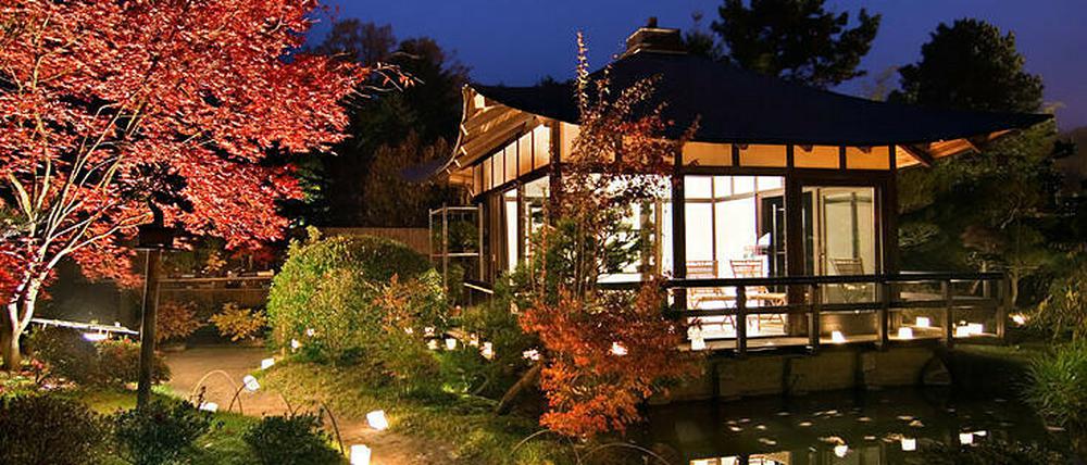 Im Bonsaigarten Ferch wird das Japanische Lichterfest gefeiert.