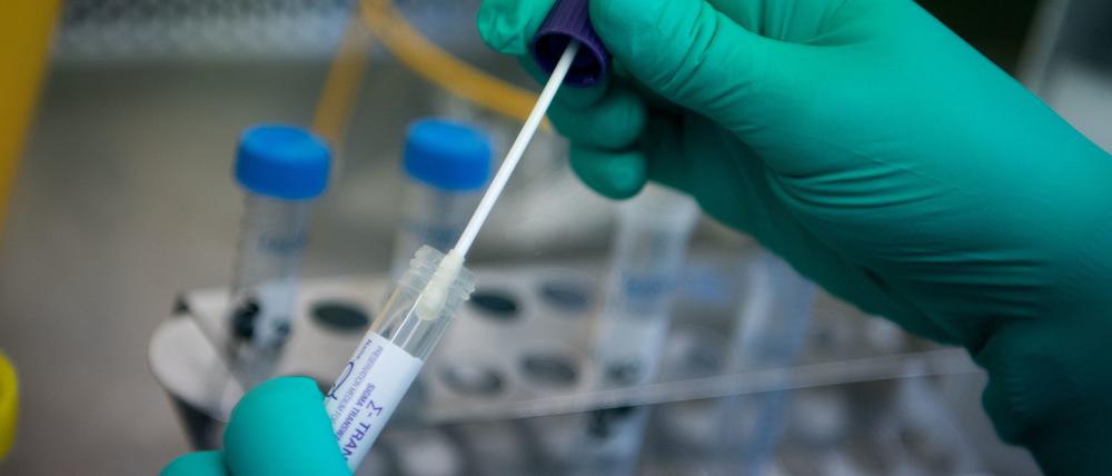 Die Corona-Zahlen schnellen derzeit in Brandenburg in die Höhe.