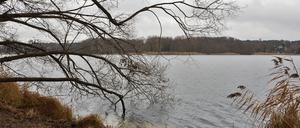 Um das Ufer des Glienicker Sees wird seit Jahren gestritten.