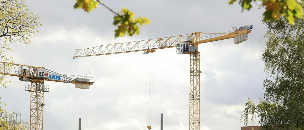 Bis in Fahrland die Bagger und Kräne anrücken, wird es noch dauern.