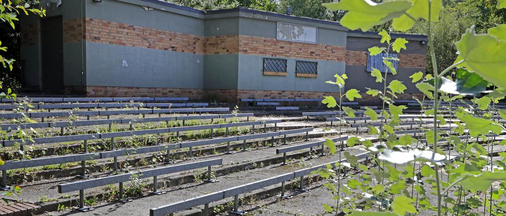 Die Freilichtbühne auf der Potsdamer Freundschaftsinsel soll eigentlich abgerissen werden. 