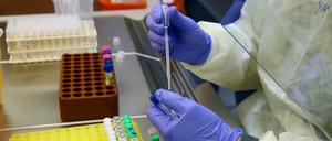 Erneut sind in Potsdam-Mittelmark Schulen und Kitas von Infektionen und Verdachtsfällen betroffen (Symbolbild).