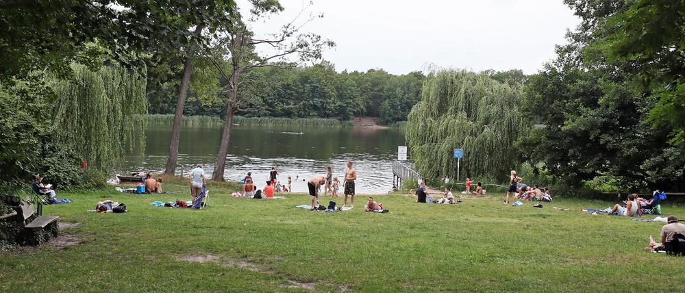 Die Gemeinde hofft, dass durch den Rückbau der Badestelle schon bald wieder im Güterfelder Haussee geschwommen werden darf. ACHTUNG:Foto ist ausschließlich für redaktionelle Berichterstattung der PNN und des TGSP! Eine kommerzielle Nutzung, z.B. Werbung, ist ausgeschlossen. Die Weitergabe an nicht autorisierte Dritte, insbesondere eine weitergehende Vermarktung über Bilddatenbanken, ist unzulässig.