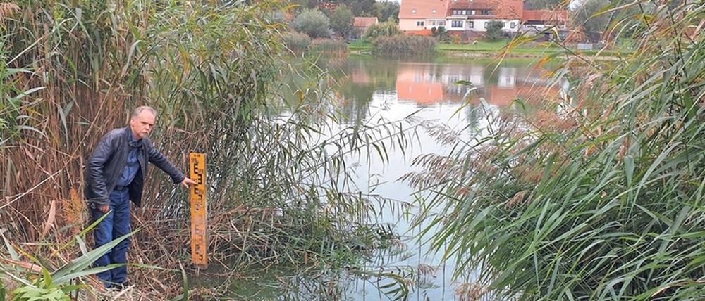 Stand der Dinge. Karsten Stornowski, Vize-Landrat und Umweltdezernet im Landkreis Uckermark, zeigt, welche Höhe der Dorfteich in Schmiedeberg früher hatte. Davon ist nicht mehr viel übrig.