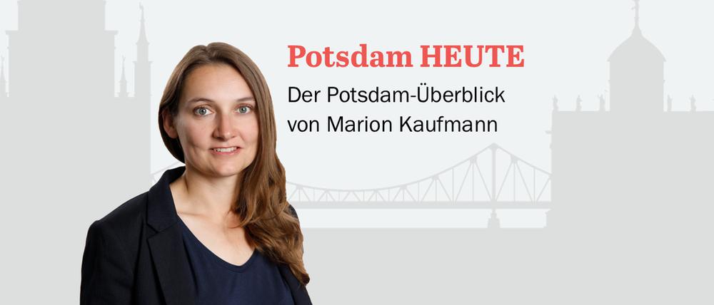 Der PNN-Newsletter - heute von Marion Kaufmann.