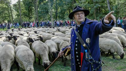 Knut Kucznik steht bei einer Demonstration von Schäfern und ihren Hirtenhunden im Berliner Tiergarten 2019 vor einer Schafherde. 
