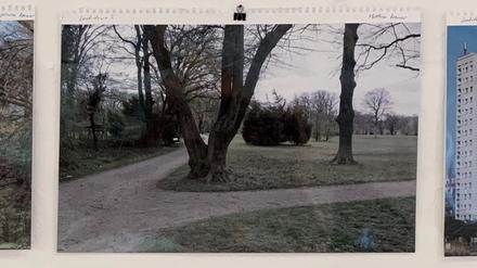 Matthias Kremers Fotoserie "The vast" entstand während des ersten Lockdowns im Frühjahr 2020. Es wurde ein Wandkalender daraus.