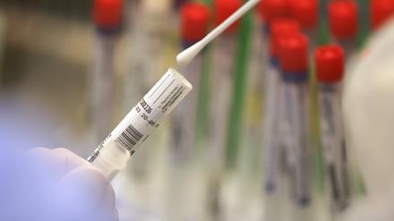 In Potsdam-Mittelmark sind aktuell 235 Menschen akut an Covid-19 erkrankt (Symbolbild). 