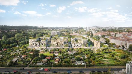 So würde die Tamax-Vision für den Angergrund aussehen, die Straße im Vordergrund ist der Horstweg