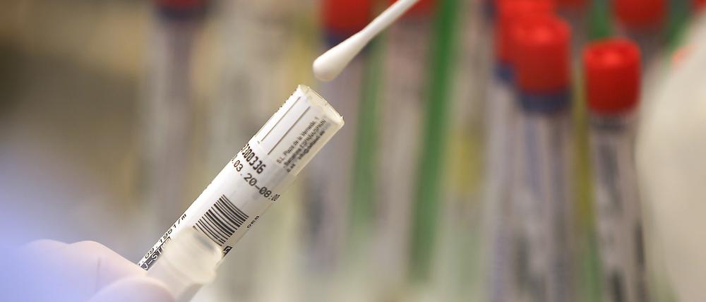 In Potsdam-Mittelmark sind zwei weitere Menschen in Verbindung mit dem Coronavirus gestorben (Symbolbild). 