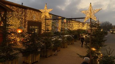 Über den Weihnachtsmarkt des Klaistower Spargel- und Erlebnishofes fahren die Besucher mit dem Auto.