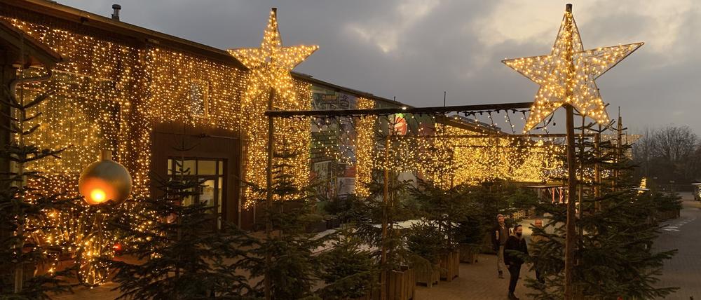 Über den Weihnachtsmarkt des Klaistower Spargel- und Erlebnishofes fahren die Besucher mit dem Auto.