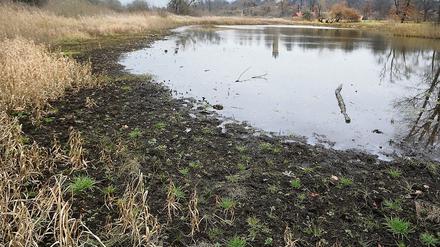 Mit dem Problem des fehlenden Grundwassers hat in Potsdam auch der Kindermannsee im Park Babelsberg zu kämpfen