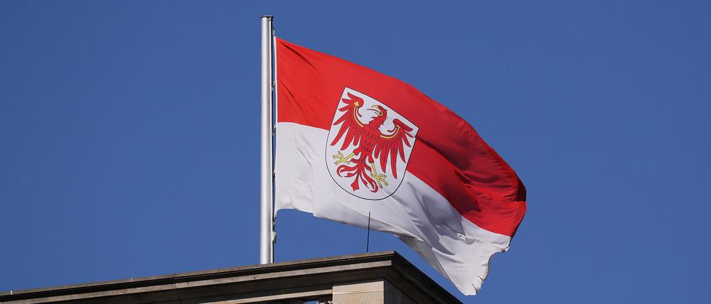 Im Herbst 2024 wird in Brandenburg ein neuer Landtag gewählt.