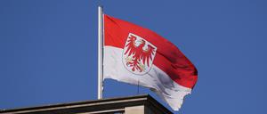 Brandenburg wählt im neuen Jahr einen neuen Landtag.