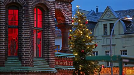 Schmuck. In Babelsberg steht der Baum.