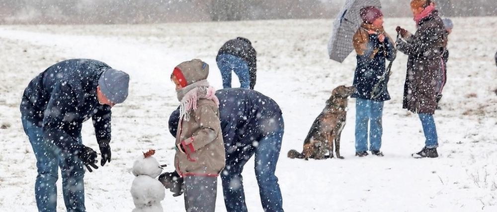 Am ersten Sonntag im Jahr 2021 schneit es in Potsdam. Viele Menschen zog es in die Parks der Stadt.