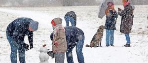 Am ersten Sonntag im Jahr 2021 schneit es in Potsdam. Viele Menschen zog es in die Parks der Stadt. 