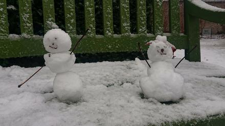 Die erste Schneefiguren im Jahr 2021 in Potsdam - hier auf einer Bank im Park Sanssouci.
