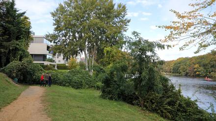 Abgesperrter Uferweg am Griebnitzsee.
