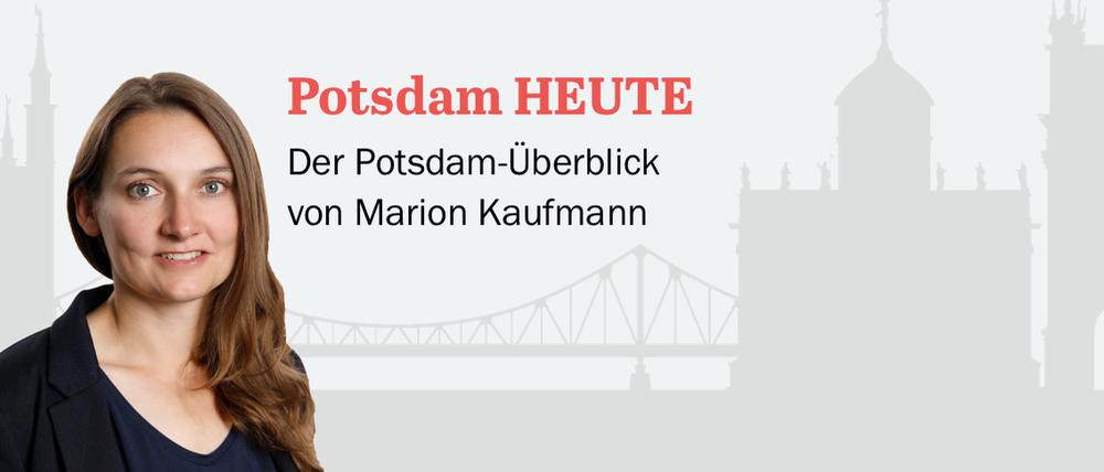 Der PNN-Newsletter- heute von Marion Kaufmann.