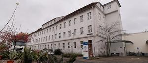 In Potsdams Gesundheitsamt hat man alle Hände voll zu tun.