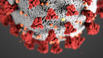 Diese Illustration, die in den Centers for Disease Control and Prevention (CDC) erstellt wurde, zeigt die ultrastrukturelle Morphologie, die Coronaviren aufweisen. 