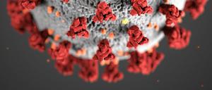 Diese Illustration, die in den Centers for Disease Control and Prevention (CDC) erstellt wurde, zeigt die ultrastrukturelle Morphologie, die Coronaviren aufweisen. 
